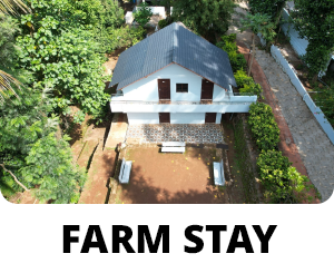 Farm stay