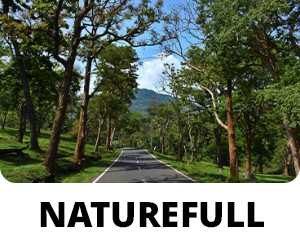 Naturefull